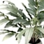Tracey Boyd Lemon Leaves in Pot, 24"