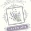 Framed Lavender Wall Decor, 12x15