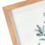 Glass Framed Leaves Print Wall Art, 11x14