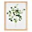 Glass Framed Leaves Print Wall Art, 11x14