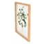 Glass Framed Leaves Print Wall Art, 11x14