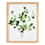 Glass Framed Leaves Print Wall Art, 11x14