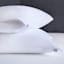 Wick-Away White Bed Pillow Protector, Standard/Queen