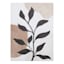 Botanical Canvas Wall Art, 12x16