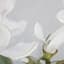 Providence Floral Canvas Wall Art, 30"