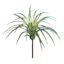 Tillandsia Pick, 7"