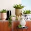 Tracey Boyd Brown Polyrattan Planter Stand, Medium