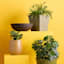 Rustic Brown Lip Bowl Planter, 21"