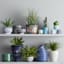 Hand Painted Tazon Multicolor Patterned Ceramic Outdoor Planter, Medium