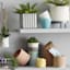 Indoor Yellow Flower Shaped Ceramic Planter, 5"
