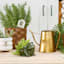 Honeybloom Indoor Green Ceramic Frog Pot, Medium