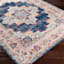 (D494) Found & Fable Floransa Blue & Pink Medallion Accent Rug, 3x5