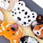 Set of 6 Doggie Bag Clips