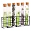 Set of 6 Test Tube Shot Glass Set