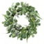 Eucalyptus & Fern Wreath, 24"