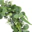 Eucalyptus & Fern Wreath, 24"