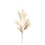 Cream Pampas Grass Bundle, 20"
