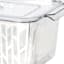 Crisp Berry Bin