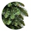 Unlit Canadian Slim Fir Christmas Tree, 5'