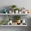 Providence Indoor Blue & White Striped Ceramic Planter, Medium