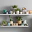 Willow Crossley Metal Plant Mister, White