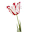 Willow Crossley Red Soft Tulip Floral Pick, 27"