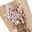 Willow Crossley Pink Daisy Bundle, 19.5"