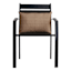 Tallon Birch Lumbar Outdoor Throw Pillow, 14x20