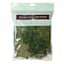 Apple Green Spanish Moss, Small