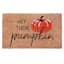 Hey There Pumpkin Coir Mat, 18x30