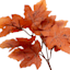 Dark Orange Maple Leaves Pick, 10"