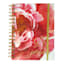 With God All Things Peony Chunky Spiral