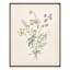 Honeybloom Framed Floral Canvas Wall Art, 16x20