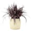 Honeybloom Grass Bundle in Cement Vessel, 11"