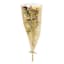 Willow Crossley Dried Daisy Bundle, 20"