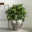 Found & Fable Silver Metal Floral Vase, 20"