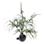 Crosby St. Greenery with Blue Vase, 17"