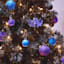 (B8) Pre-Lit LED Black Fir Tree, 7'