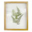 Honeybloom Glass Framed Botanical Wall Art, 10x12