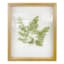 Honeybloom Glass Framed Botanical Wall Art, 10x12