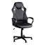 Phoenix Gaming Chair