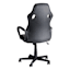 Phoenix Gaming Chair