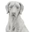 Providence Loyal Dog Outdoor Garden Statue, 27"