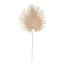 Tracey Boyd Khaki Fan Palm Stem, 35"