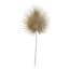 Tracey Boyd Light Coffee Fan Palm Stem, 35"