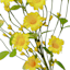 Yellow Daisy Floral Pick, 12"