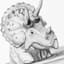 Triceratops In Bathtub Canvas Wall Art, 12x16