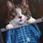 X-Ray Cat Canvas Wall Art, 16x12