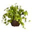 Providence Tulip Shaped Woven Outdoor Planter, Medium