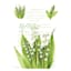 3-Pack Lily of The Valley Scented Sachets